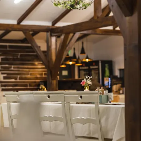 Pensjonat Casa Tirol Blaj